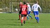 Filename=DSC_6024.JPG
Filesize=145KiB
Dimensions=799x449
Date added=Mar 26, 2026 DSC_6024.JPG